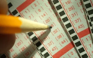 Lottery Bazar Fast